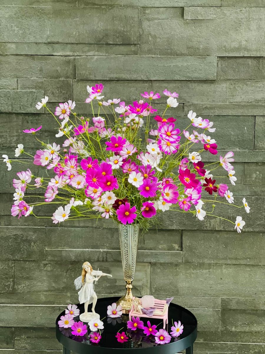 Tử vi ngày 15/3/2022 của 12 cung hoàng đạo: Bạch Dương gặp chút khó khăn trong công việc